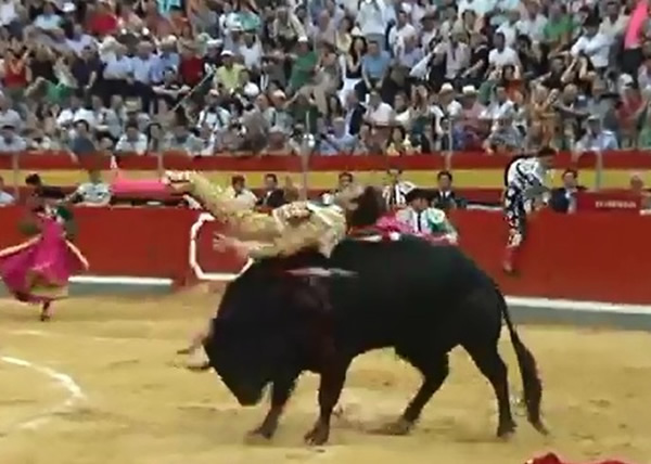 ��ţ�ýǶ���ţʿ����������