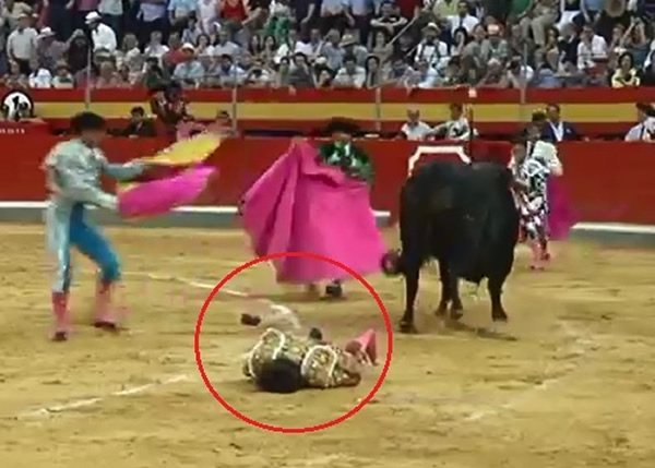 ��ţʿ���ڵ��Ϻ�����װ����