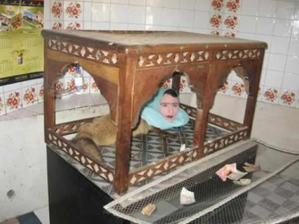 �ͻ�˹̹�������ж���԰��Ȼ��һλ���˰��ռ��ʦ