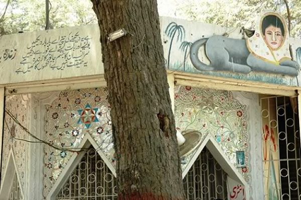 ռ��ʦ������԰��һ��