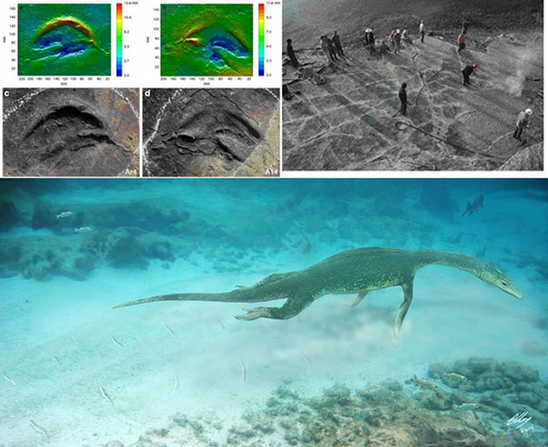 ��ƽ������������ά����ͼ����ʯ��Ƭ��ʩ���ֳ���������ʳ��̬��ԭͼ