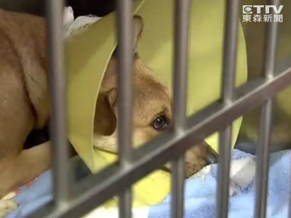 廨СʱץȮСҽơͼɭţ