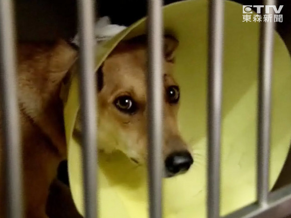 廨СʱץȮСҽơͼɭţ