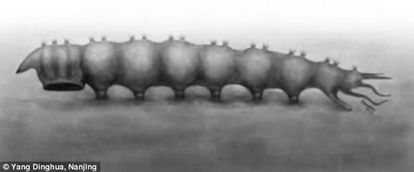 中国内蒙古境内最新发现一种1.65亿年前的淡水吸血生物——侏罗纪奇异虫,它们主要吸食蝾螈的血液。