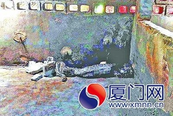福建厦门3米多长巨蟒夜袭养猪场 吞下一只小猪勒死两只