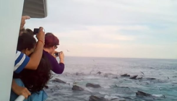 Ů�ӿ�����ʮ�������뾨�ں�����ʳ��׳�۳���ϲ������