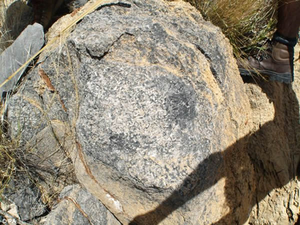 ���޹������ױ����ϲ�ɳĮ��Ե�ش���������ϵĶ��ｸʯ