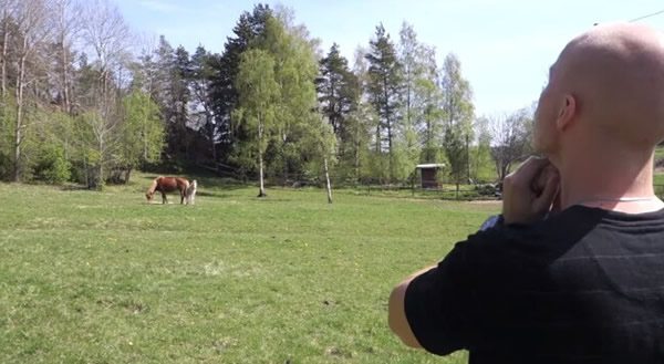 ����������Ա���ܸ�������̸�����Ȿ��