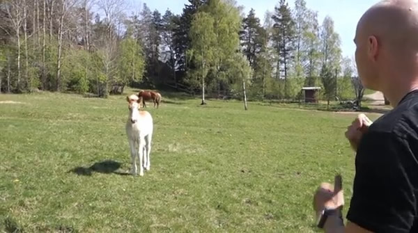 ����������Ա���ܸ�������̸�����Ȿ��