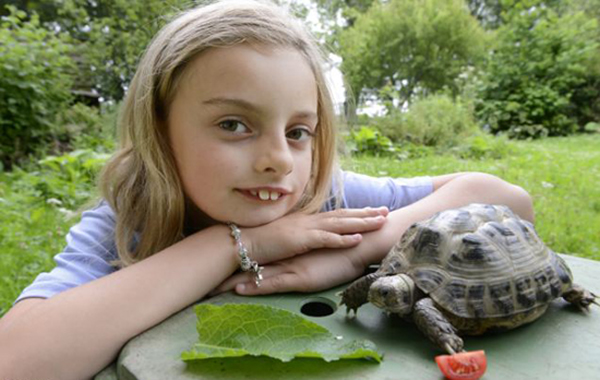 7岁女孩艾拉一年前丢失宠物龟安迪,让她非常伤心。