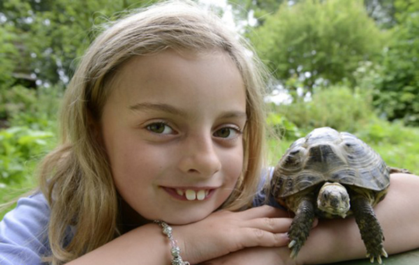 艾拉3岁时,圣诞老人送给她这只小乌龟。