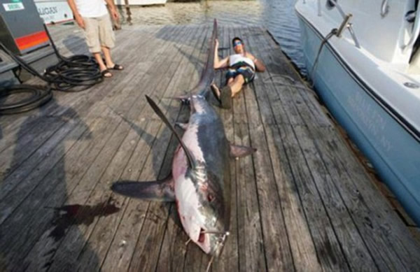 ����С����� ����ĸ�׾��ڲ�Զ���ζ�