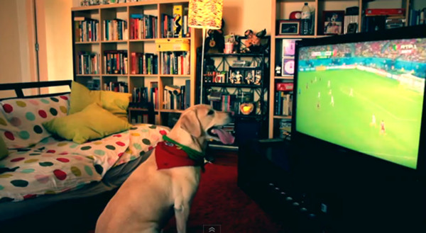 �������籭������������ ��ʵӵ�����������˷�վ��ҡβ��