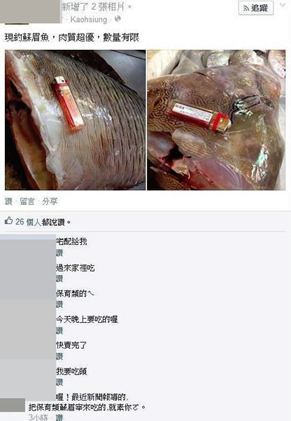 台湾又现濒危物种“龙王鲷”(苏眉鱼)被杀