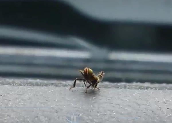 �������������� ��������ҧ��