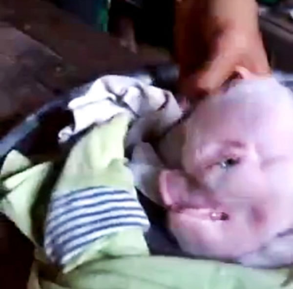 影音网站LiveLeak出现一段老挝“人头猪”影片