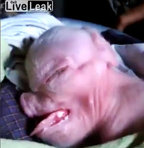 影音网站LiveLeak出现一段老挝“人头猪”影片