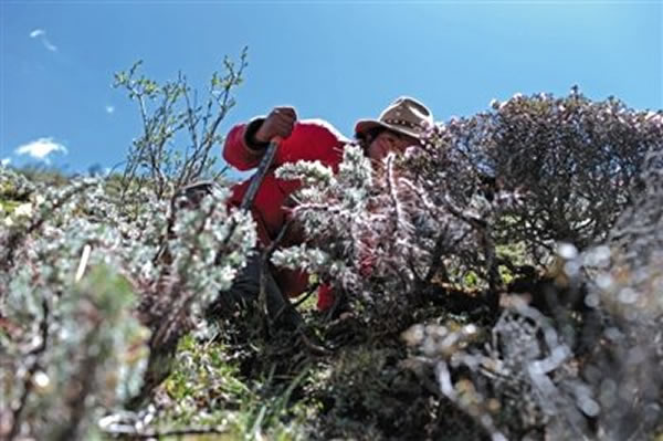 ������������Ѱ���