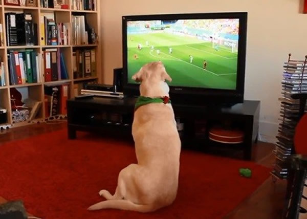 �������籭���������ӵ���ʵ������������