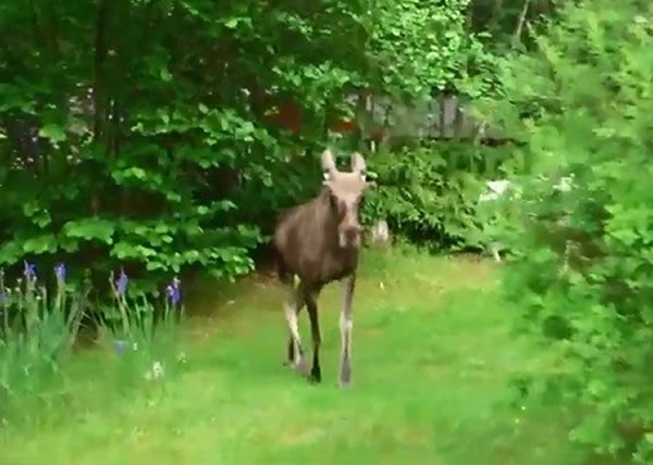 �����������Ƭ�ַ�˽��������¹���