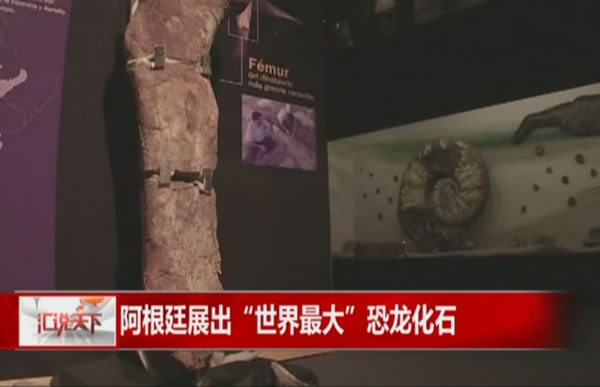 阿根廷博物馆展出世界最大恐龙“泰坦巨龙”化石