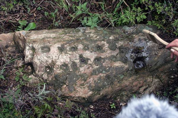 �ߴ�ɽ�һ��Ķϴ�����չ��