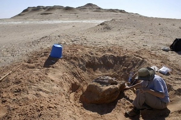 ��ʯ������ʾ��Ϊ��β��ľɴ�½����ֵ�ʱ��ȴ�ǰ��Ϊ����350����