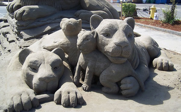 Ӣ��49�������ұ��ޡ�������������������ǰ���й��������ء����������������Σ�ͬʱ����������˾����ɳ��������