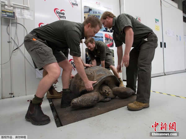 �Ĵ��������ж��﹫԰Ϊ63����½�����һ��һ�ȵĳ���