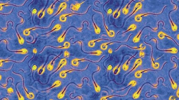 �о��ƣ���ͽϴ�����Ծ������������Ծ��ӵĻ��гɹ�����ͬ��