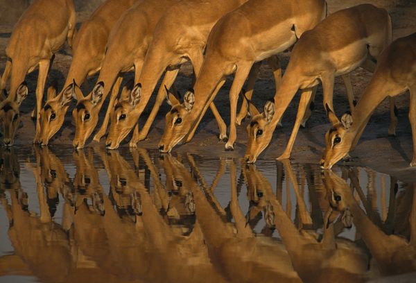 ˮ������