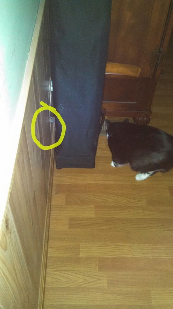 ��������߳��ı���