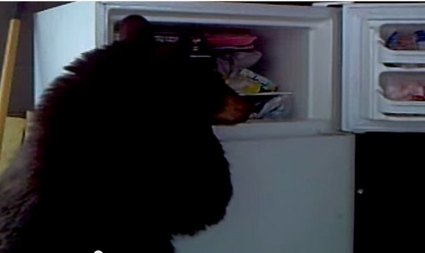 ʳʧ٣ô͵ķС͵Ȼͷ