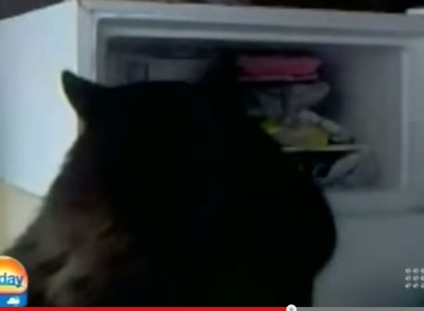 ʳʧ٣ô͵ķС͵Ȼͷ