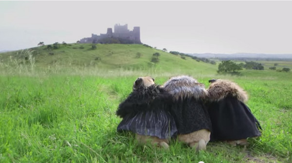 ��ֻ��װ���������ģ��ڳ�����ѡ���棬ӰƬҲ�����˹���