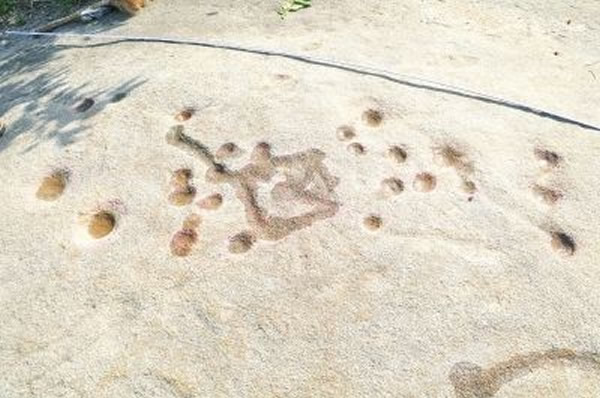 ��ԭ�һ������¶���Ѽ���һ�