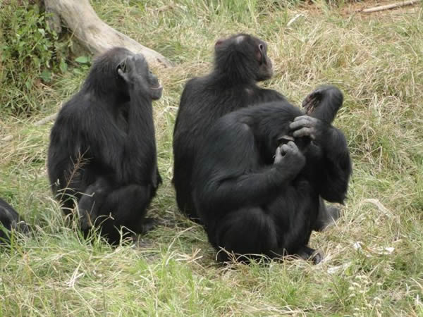 �����ɵ���ʱ�У�������