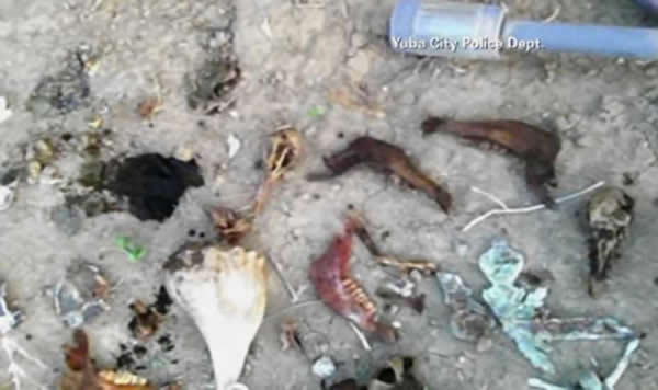 ��������С���ڳ���������ͷ�Ǵ�� ��Ϊ�����ڽ�����