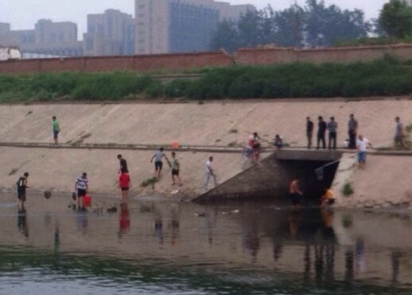 ����������ͨ�ݺ�˫�Ÿ�����Ⱥ���㼷�Ÿ���ˮ����������