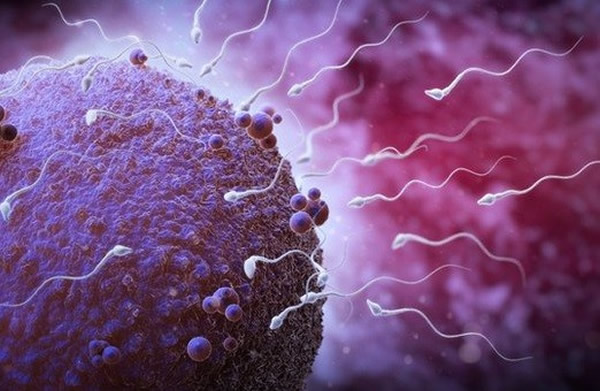 Ӣ���о����������Ծ���������������������ͬ