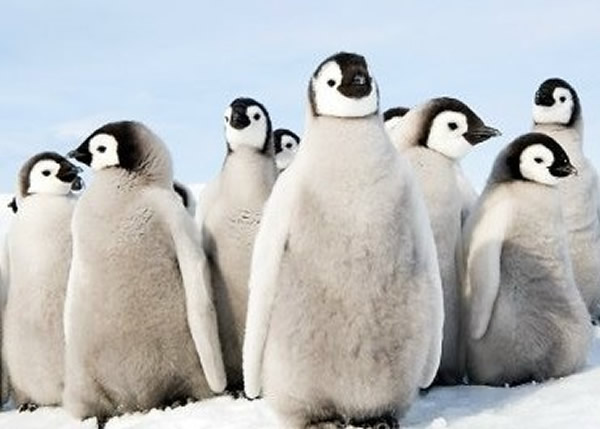 �ϼ��ʵ�������90���ڳ�Ϊ��Σ����