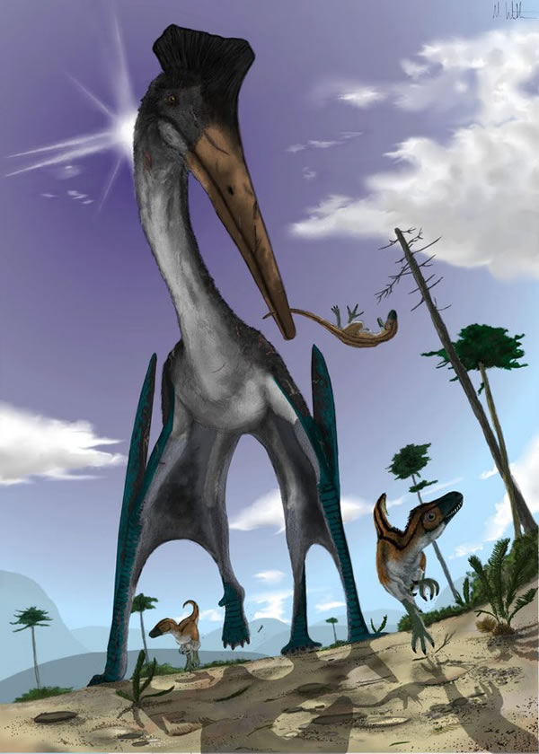 风神翼龙(Quetzalcoatlus)