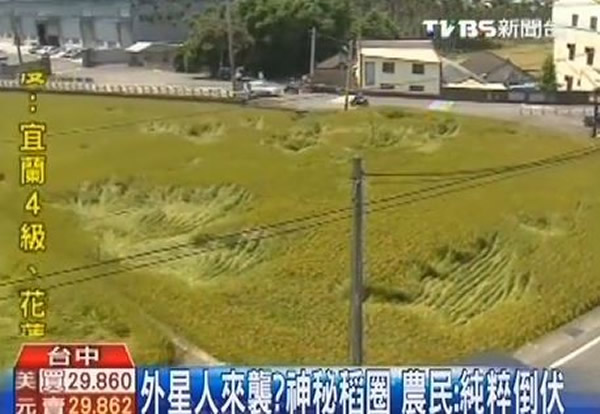 台中出现“麦田圈” 外星人降临?
