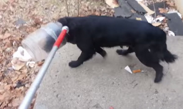 ��������ĸ��Ȯͷ������ ��ʱ����������