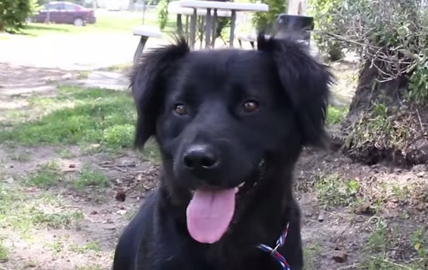 ��������ĸ��Ȯͷ������ ��ʱ����������