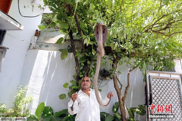 ӡ�ȸ��� ������ӱ���æ��������