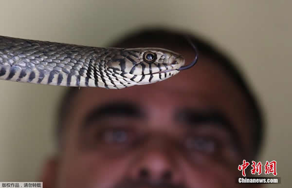 ӡ�ȸ��� ������ӱ���æ��������