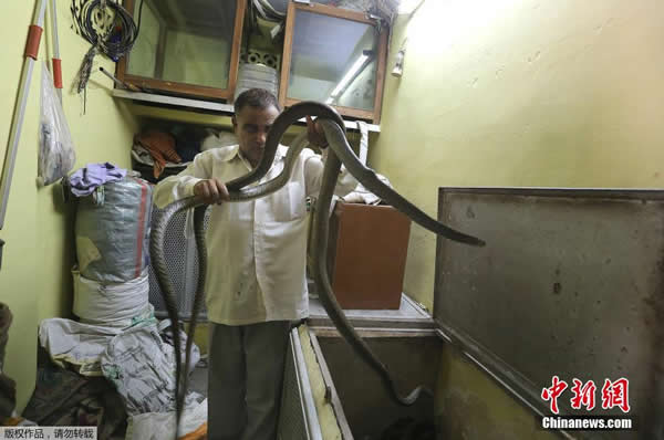 ӡ�ȸ��� ������ӱ���æ��������