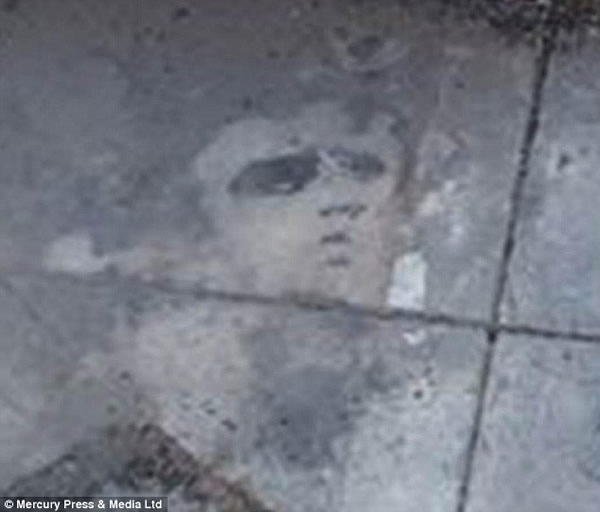 Ӣ������˹��һ���տ��������µ�̿���о��֡�è�������