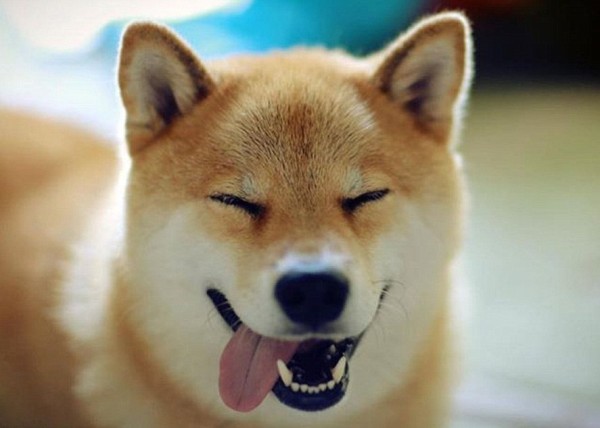 С����ʱ�޿̶���¶������Ц��